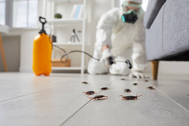 Trusted Fumigation Services service in Panther Valley, NJ - Nex Pest Control