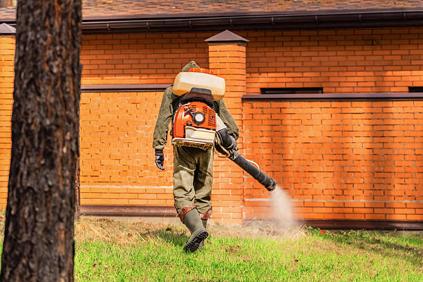 Trusted Emergency Pest Control service in Panther Valley, NJ - Nex Pest Control